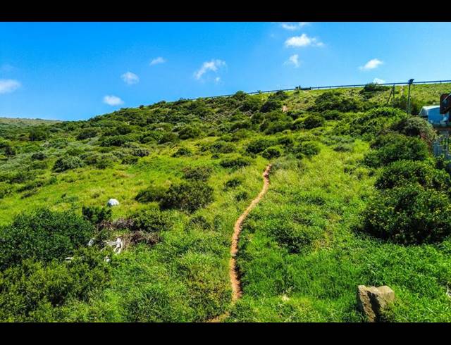 LAND FOR SALE IN DIAZ INDUSTRIA